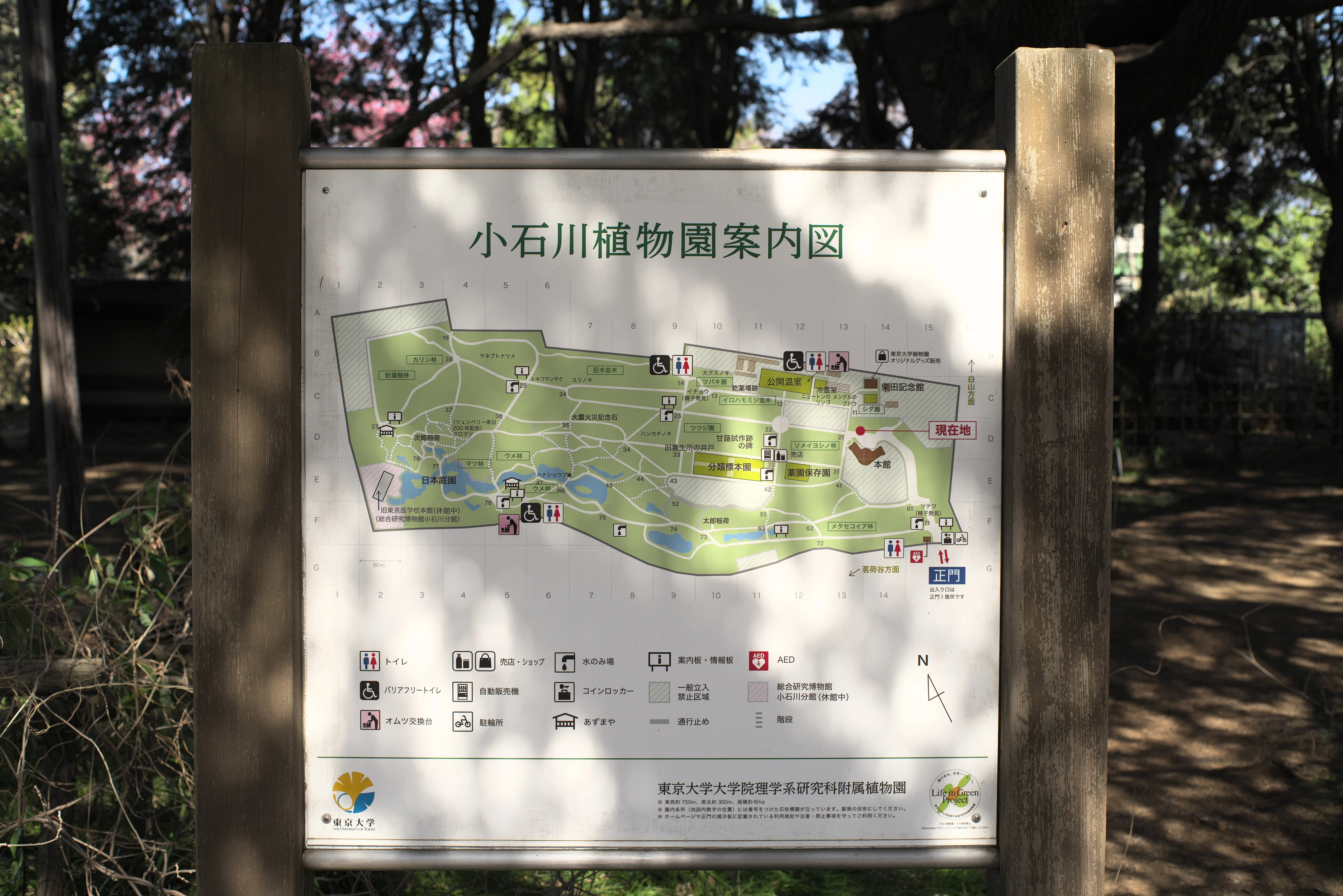 小石川植物園の園内図