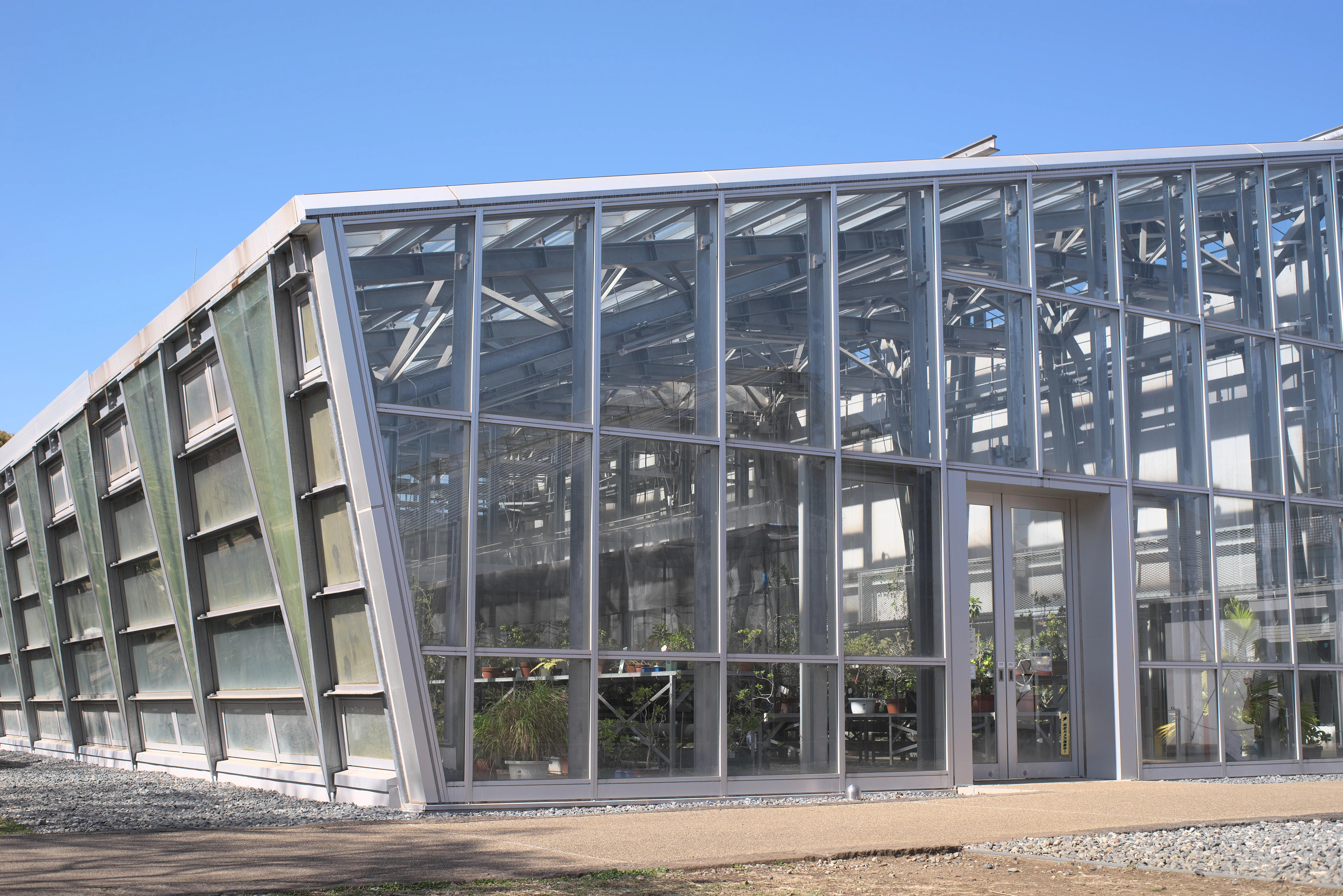 温室の外観写真