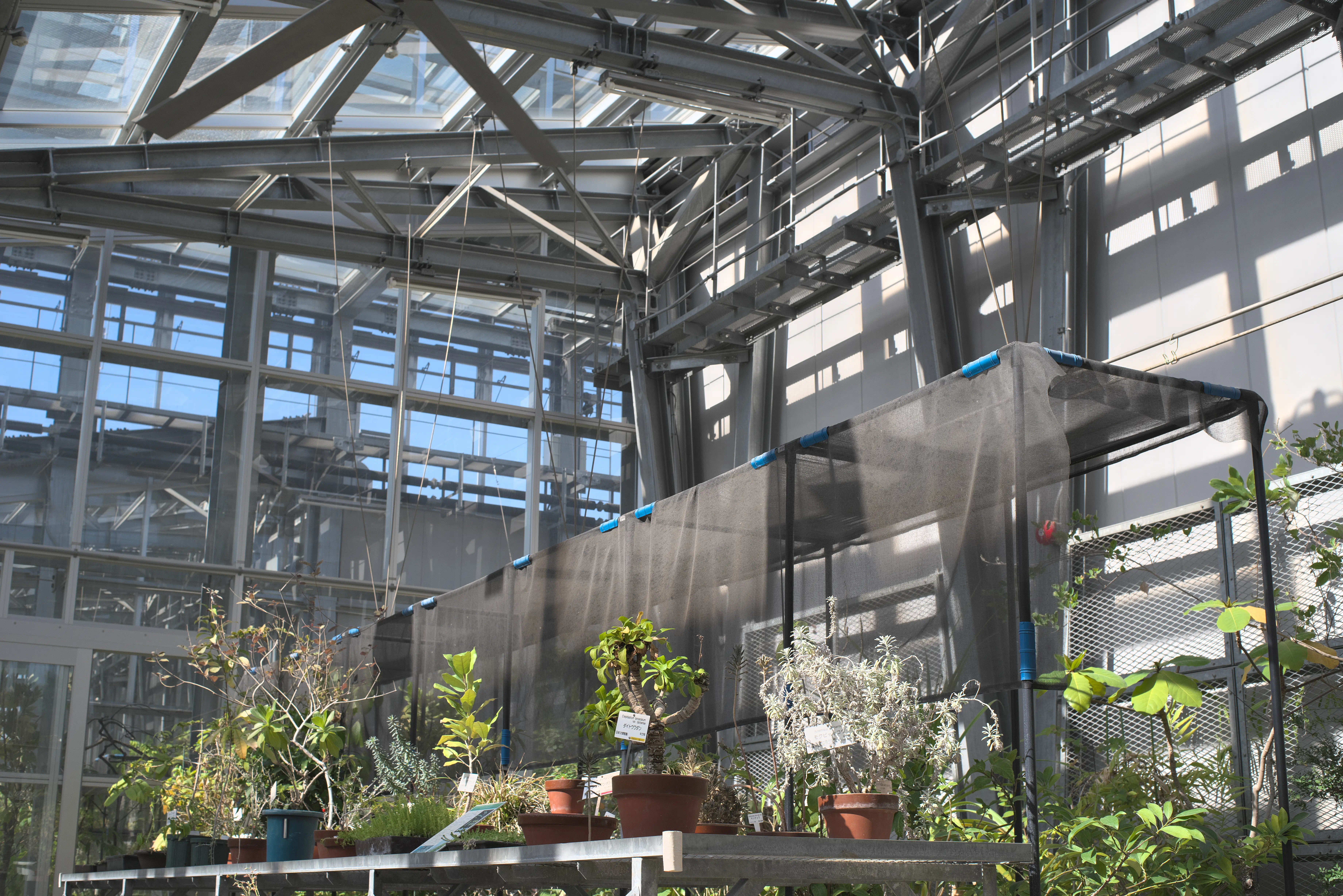 温室内の写真