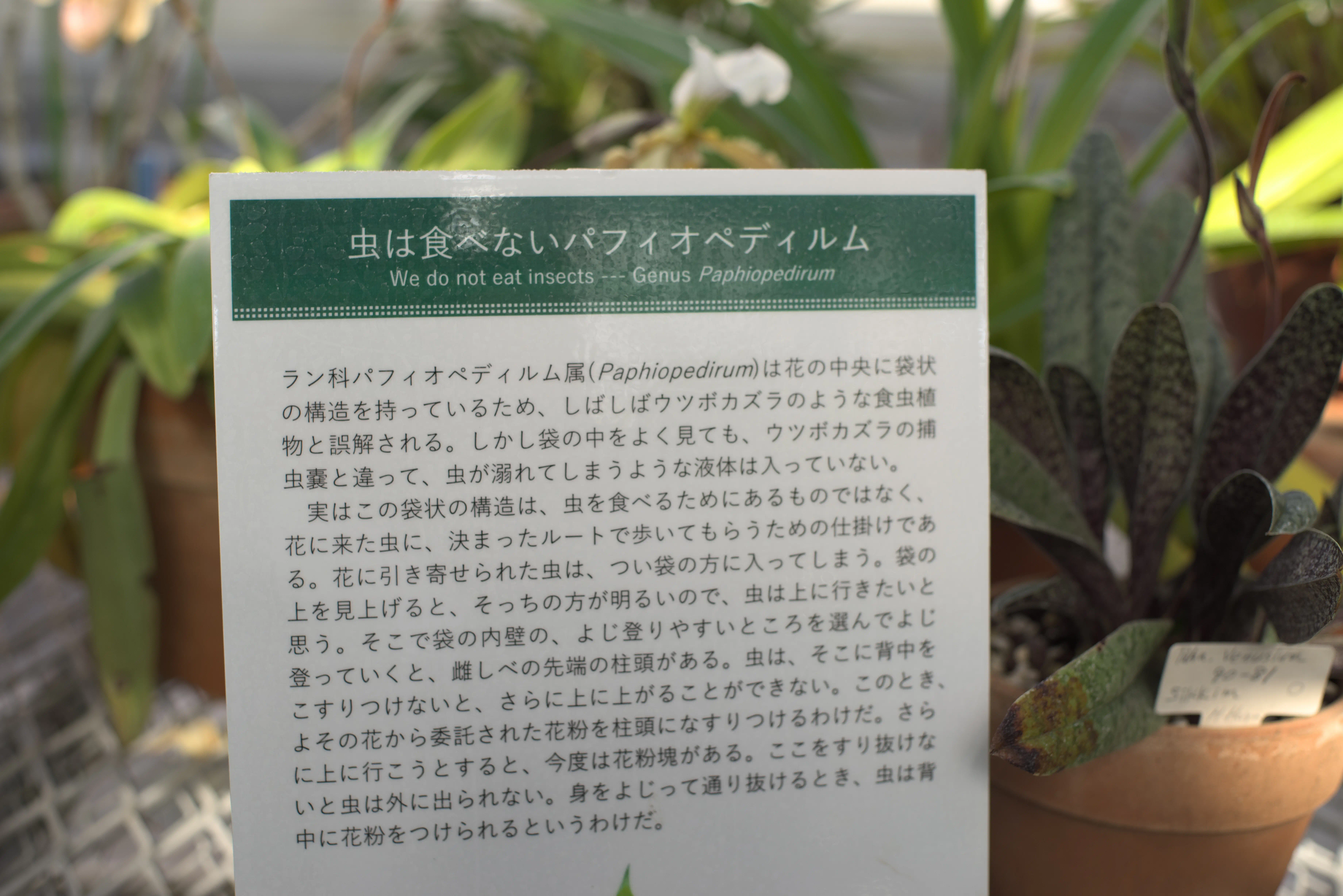 ランのコラム写真