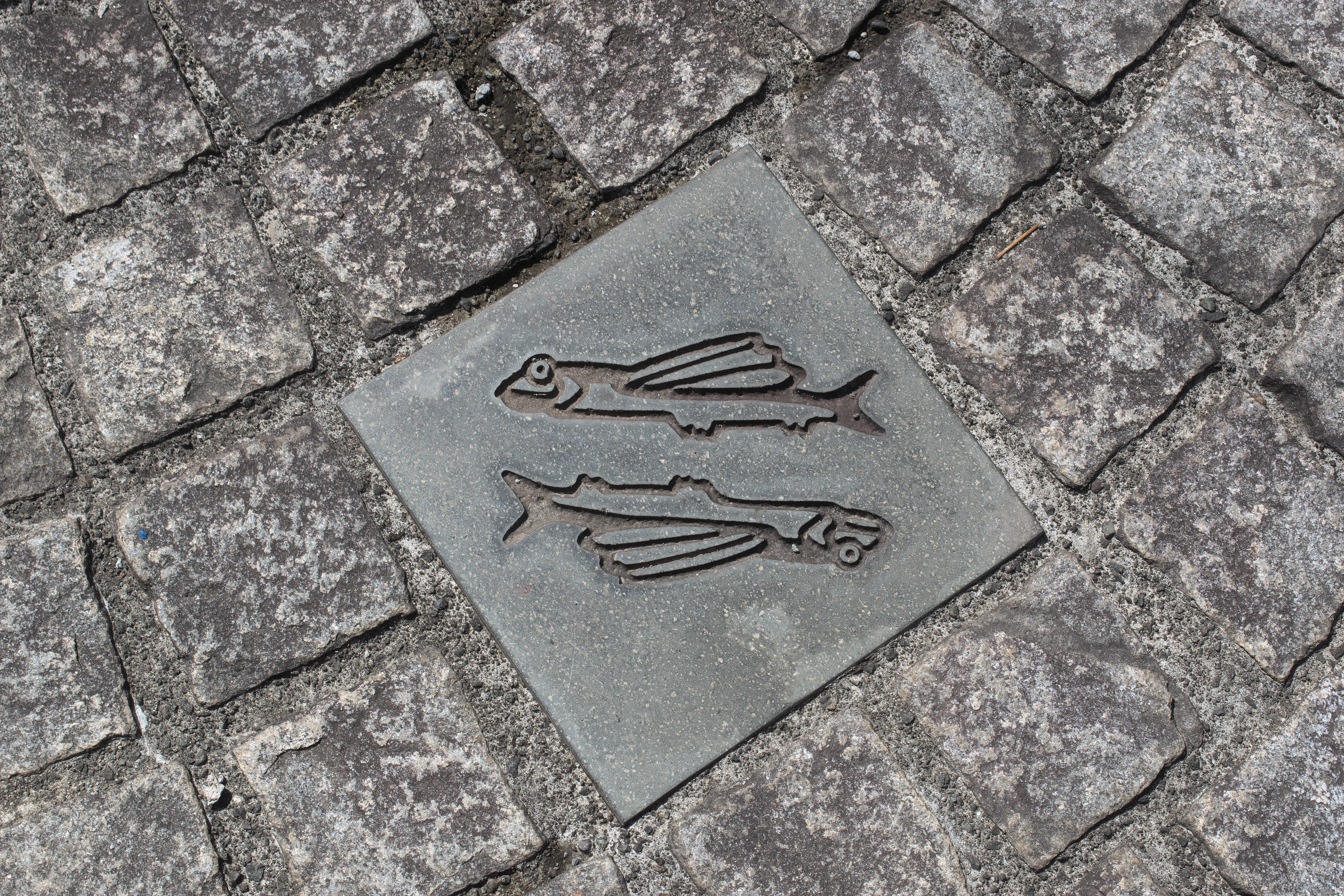 トビウオのようなイラストのタイルの写真