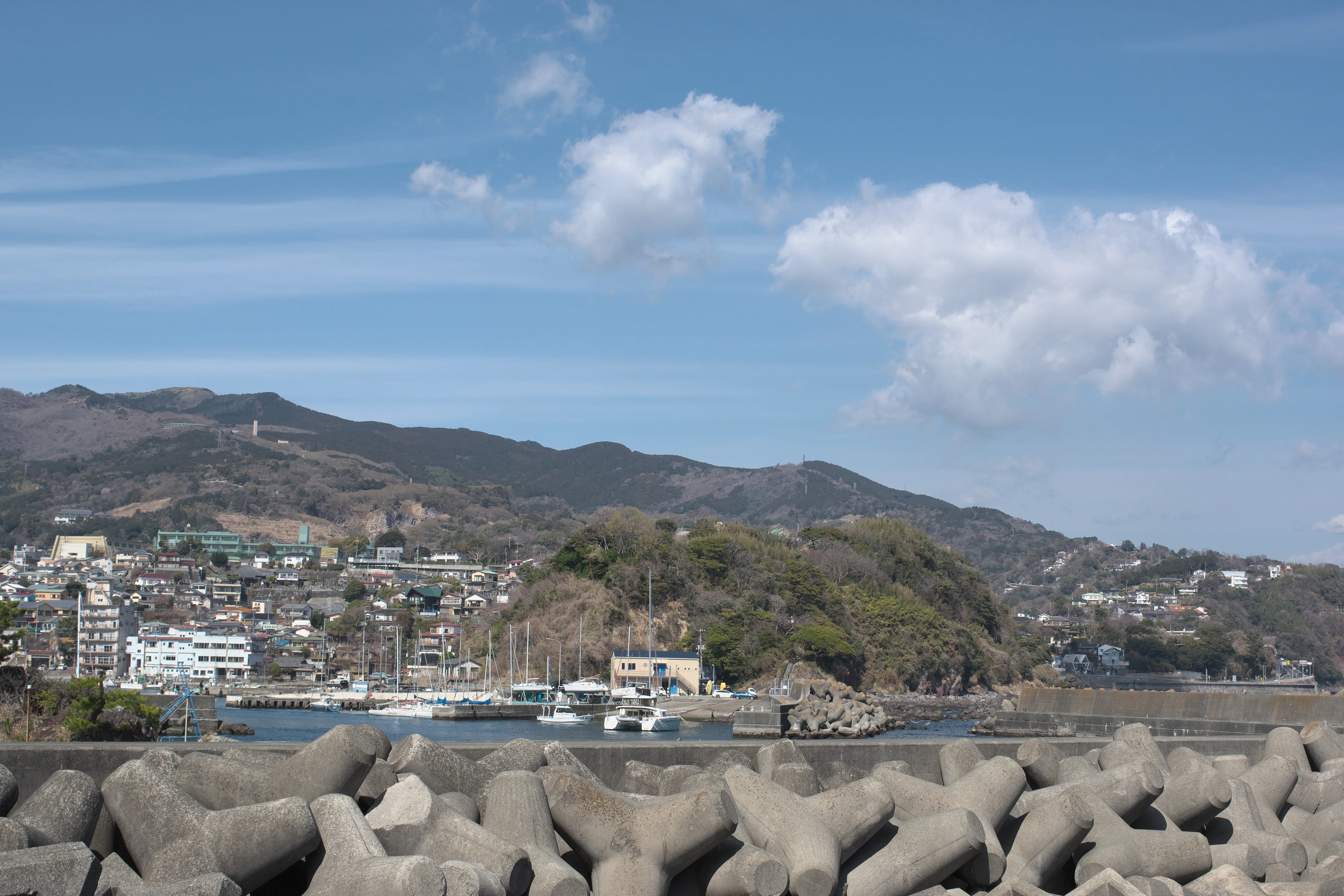遊歩道から見た景色の写真1