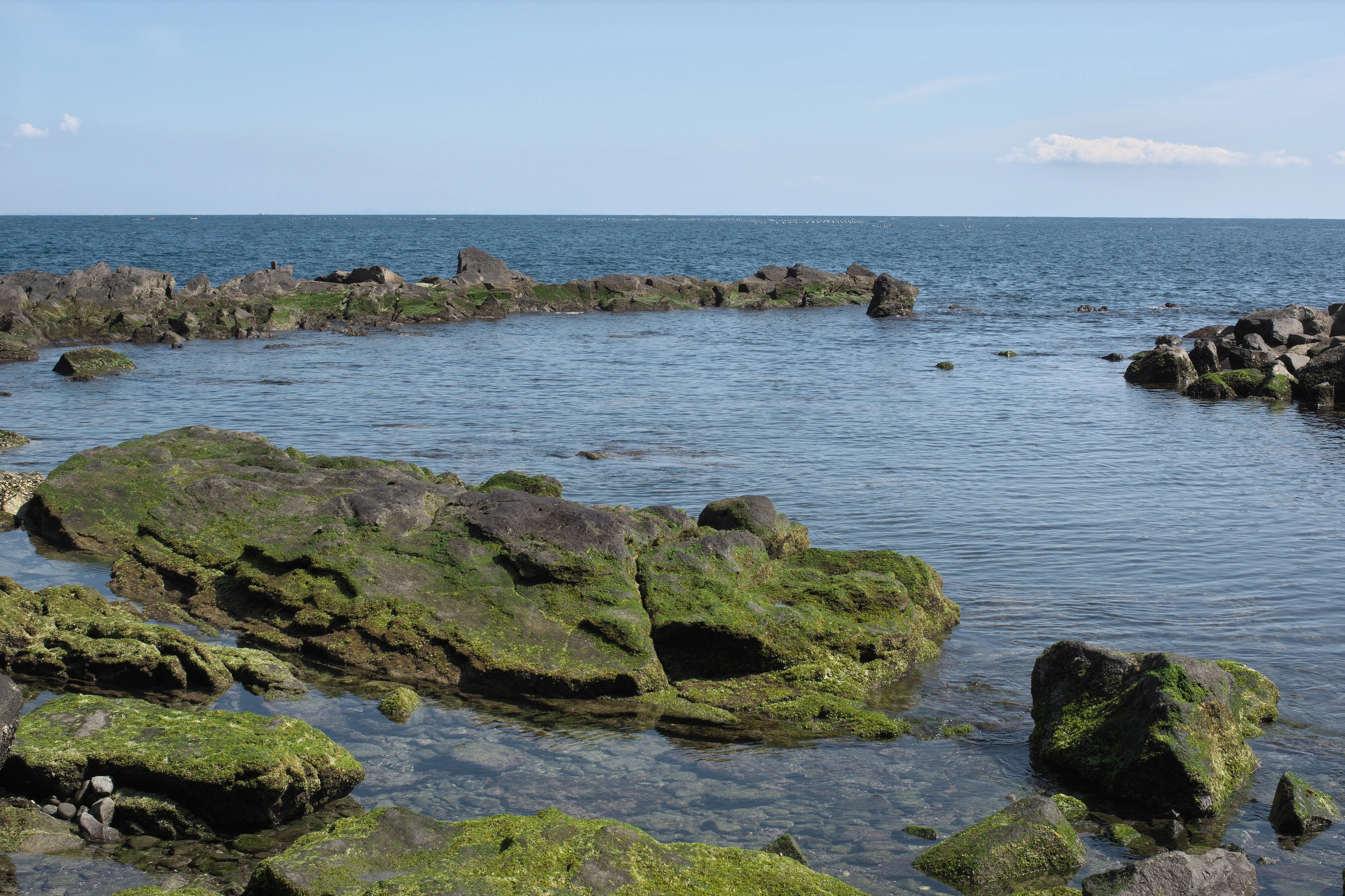 遊歩道から見た景色の写真4