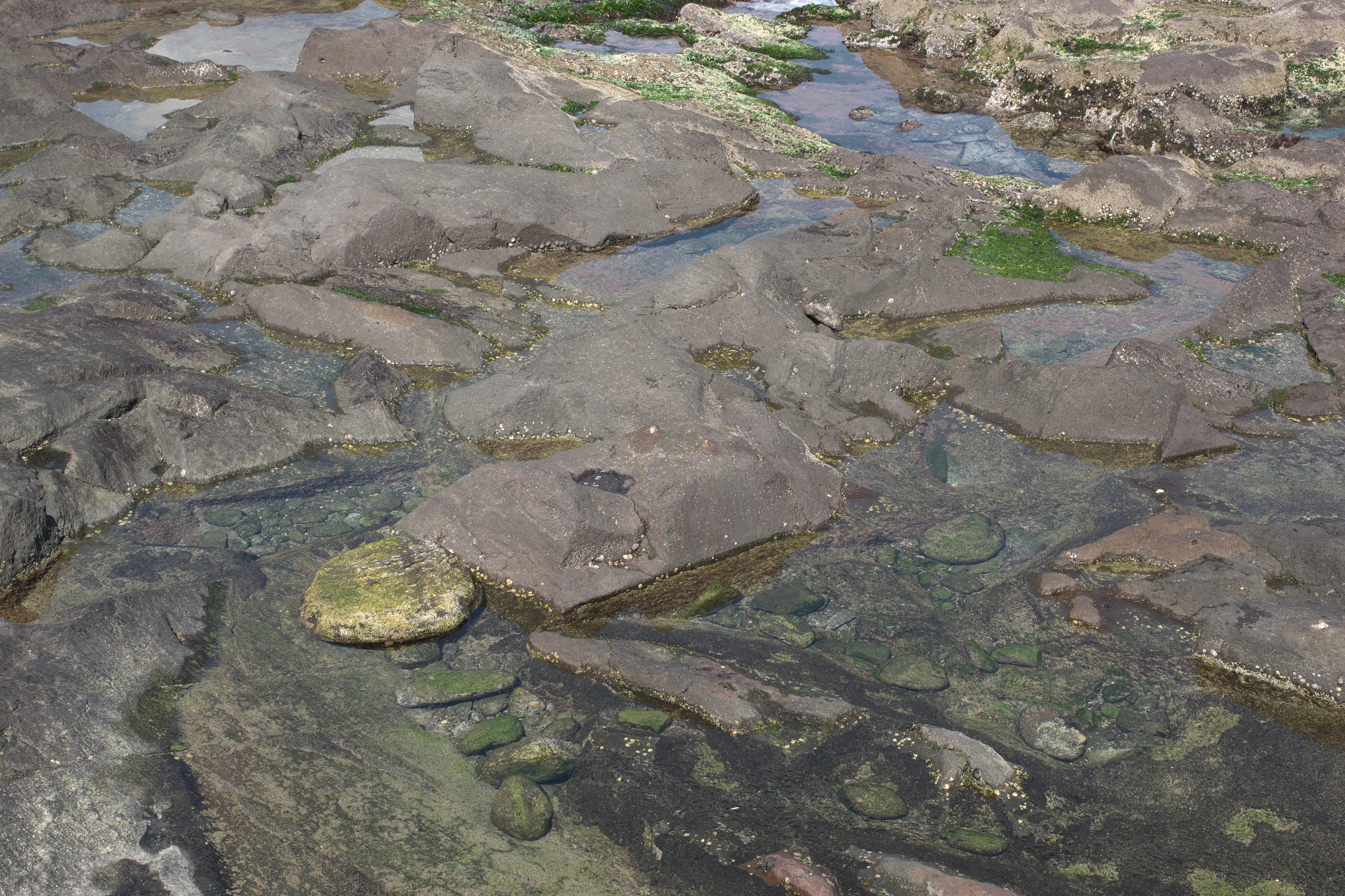 遊歩道から見た景色の写真4