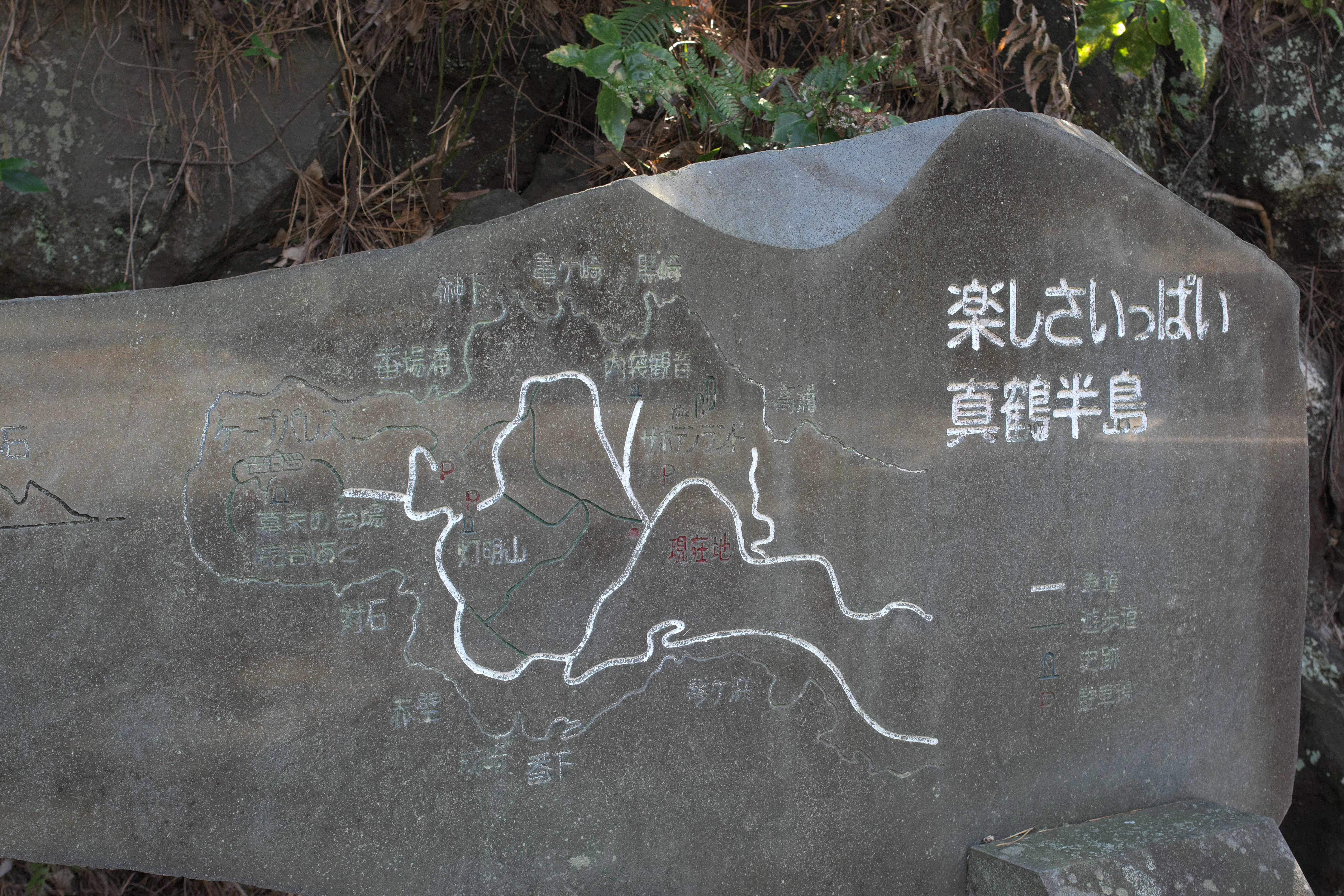 楽しさいっぱい真鶴半島の写真