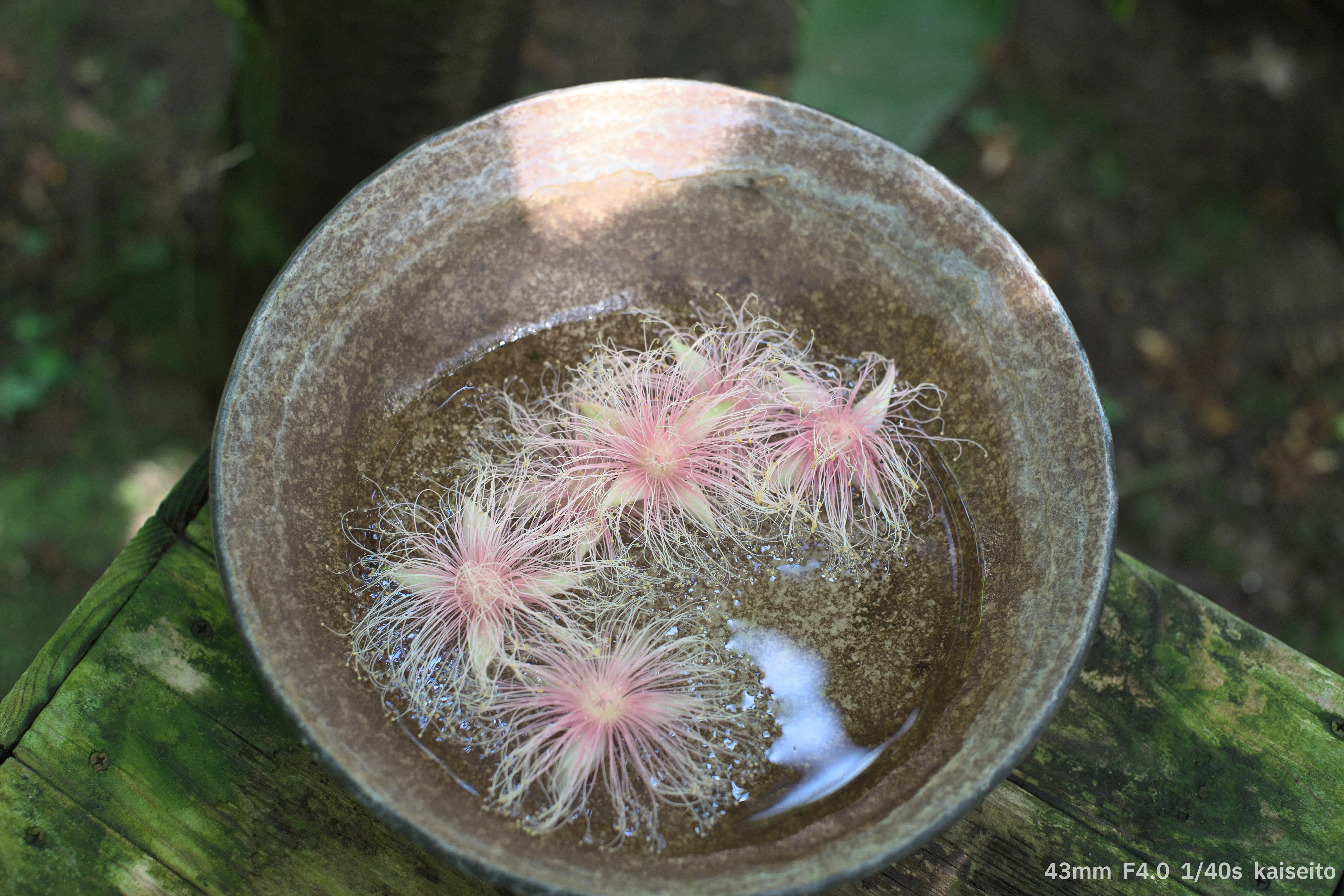 サガリバナの花